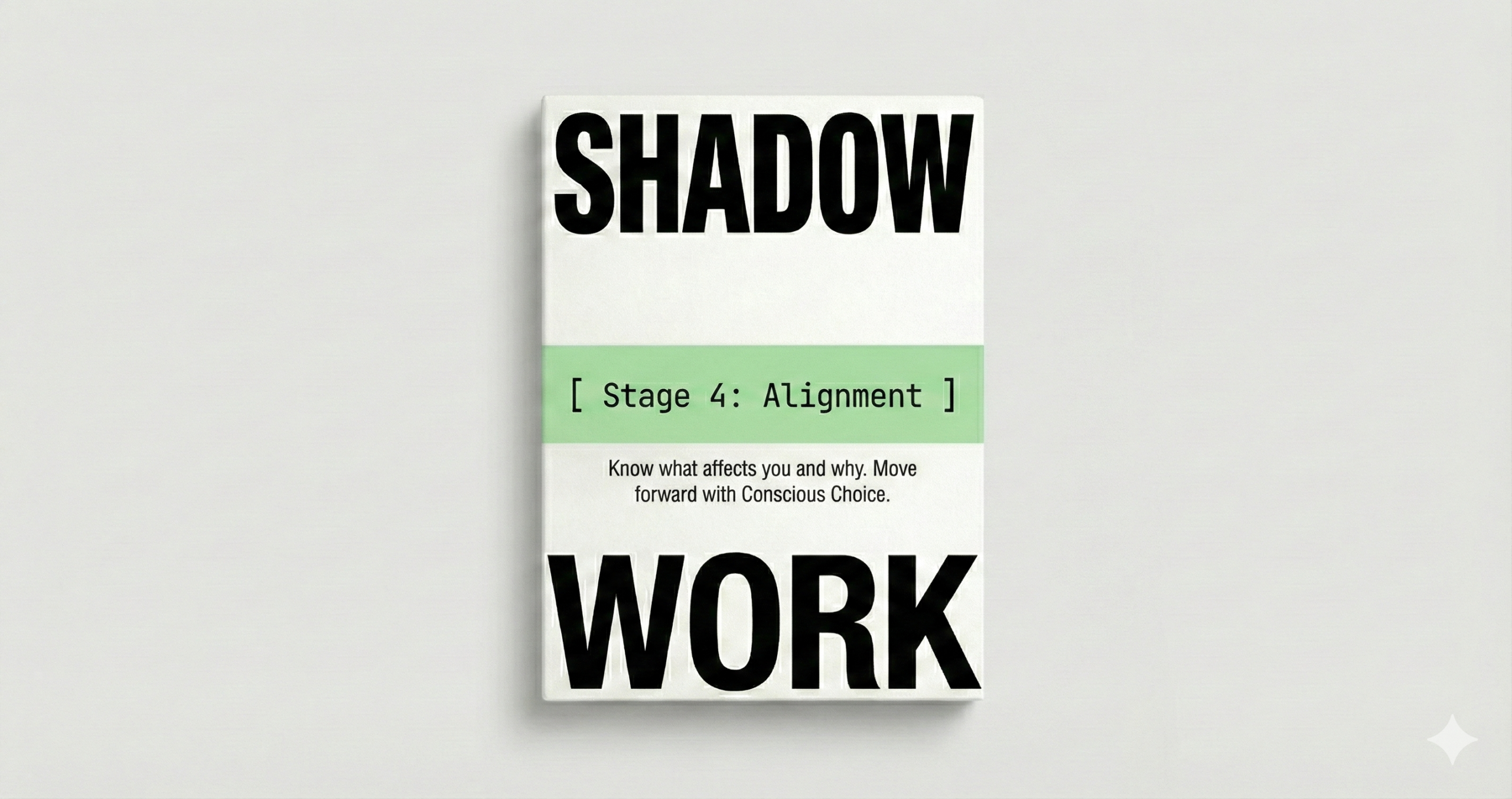Shadow Work System- Stage 4 Alignment