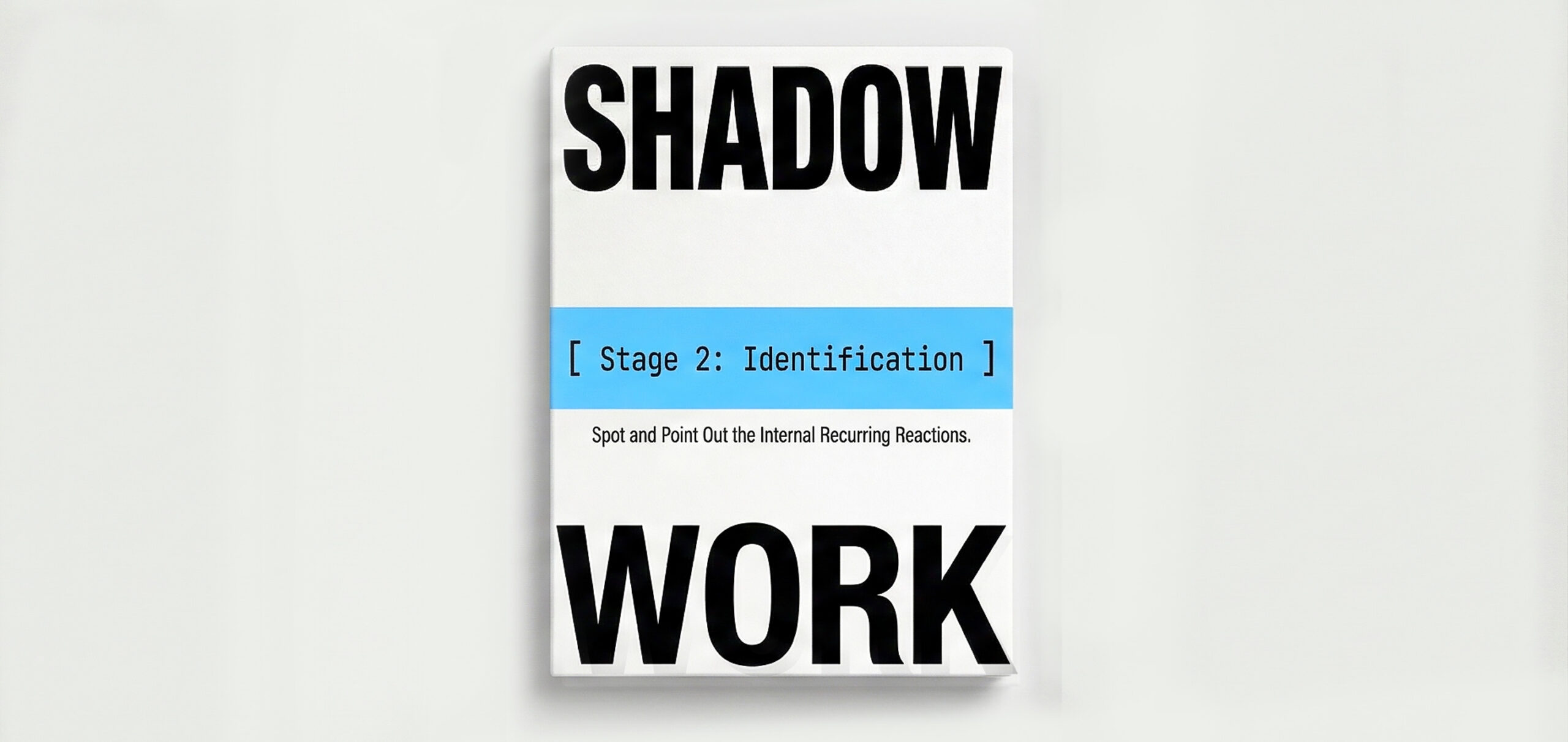 Shadow Work System-Stage 2- Identification